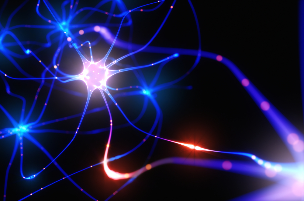 vagus nerve
